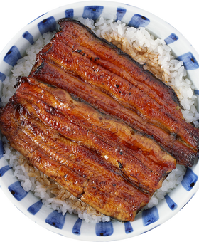 Unagi Rice