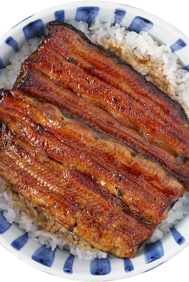 Unagi Rice